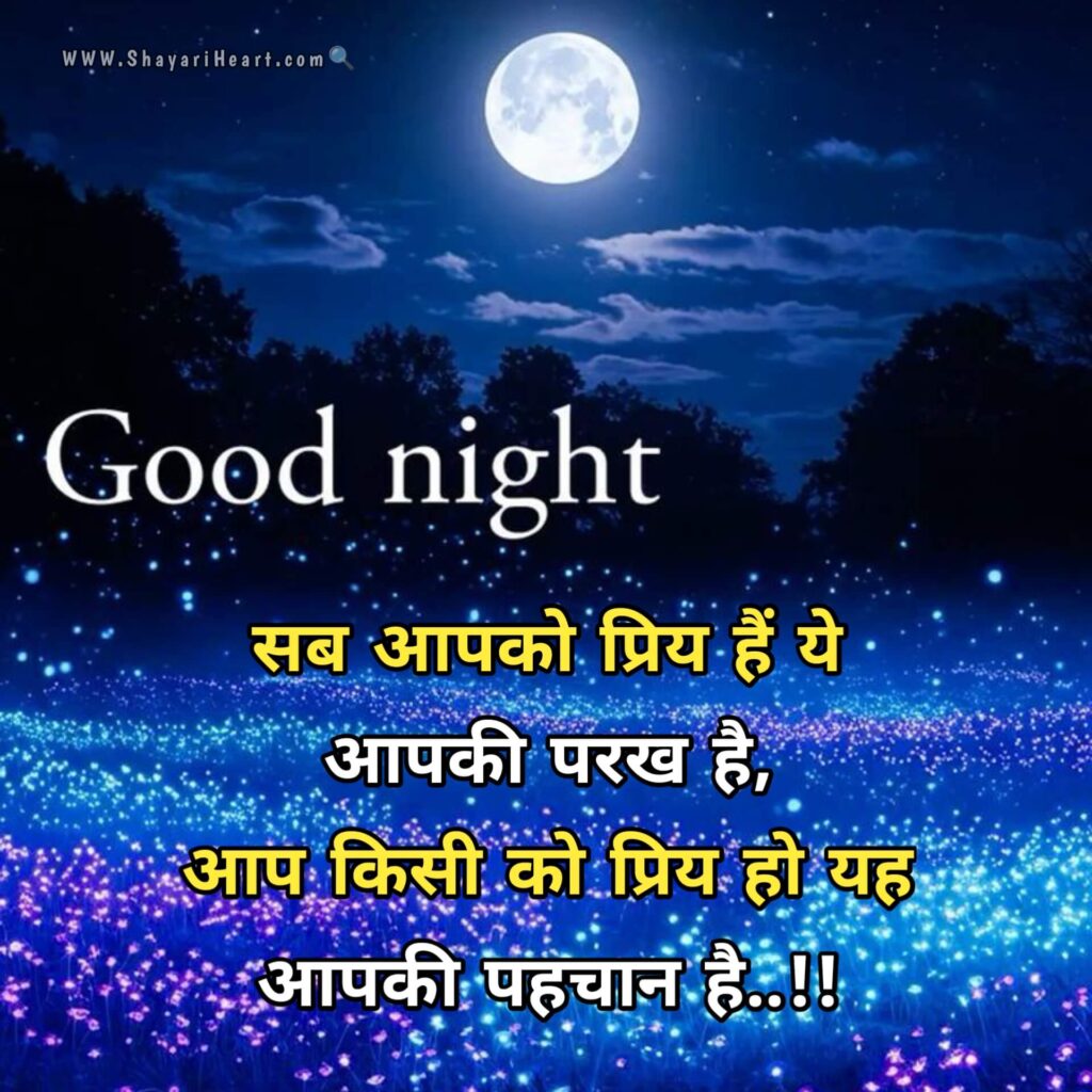 Good Night Shayari