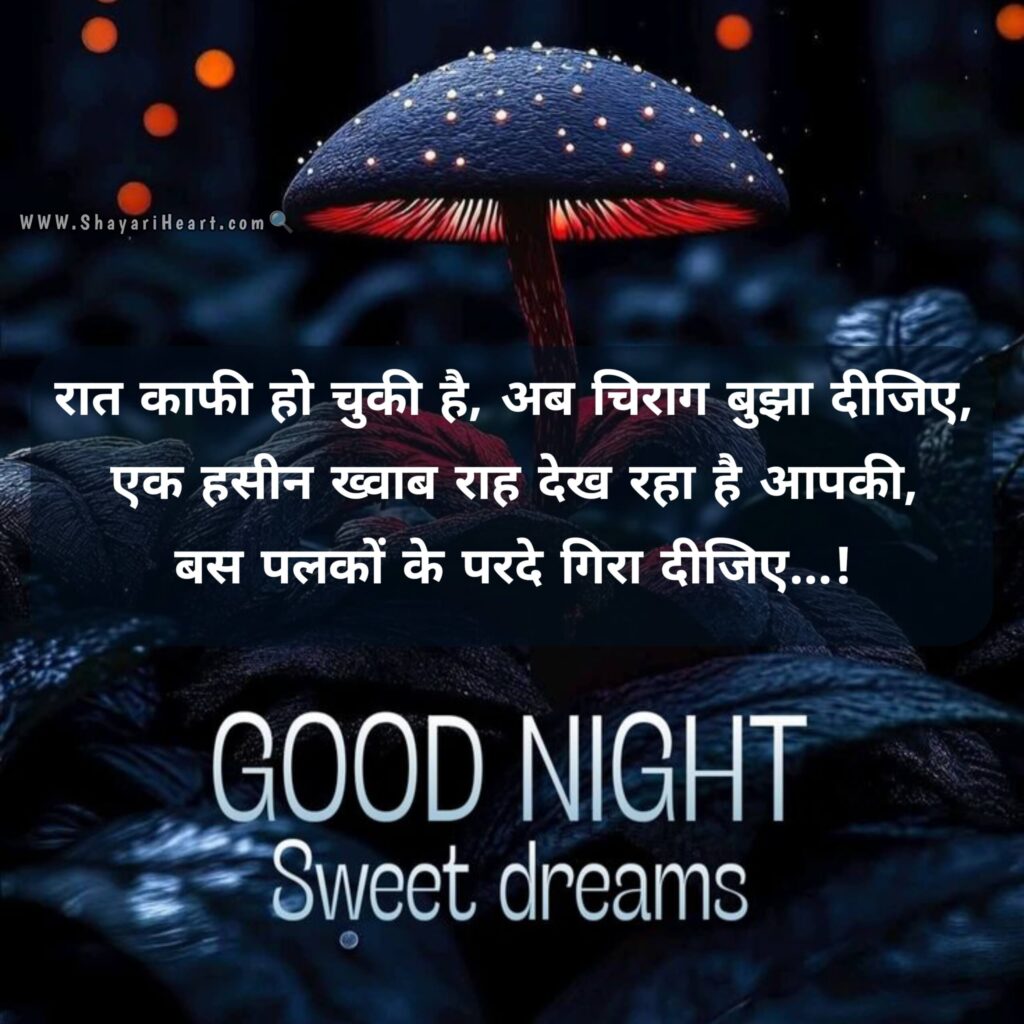 Good Night Shayari