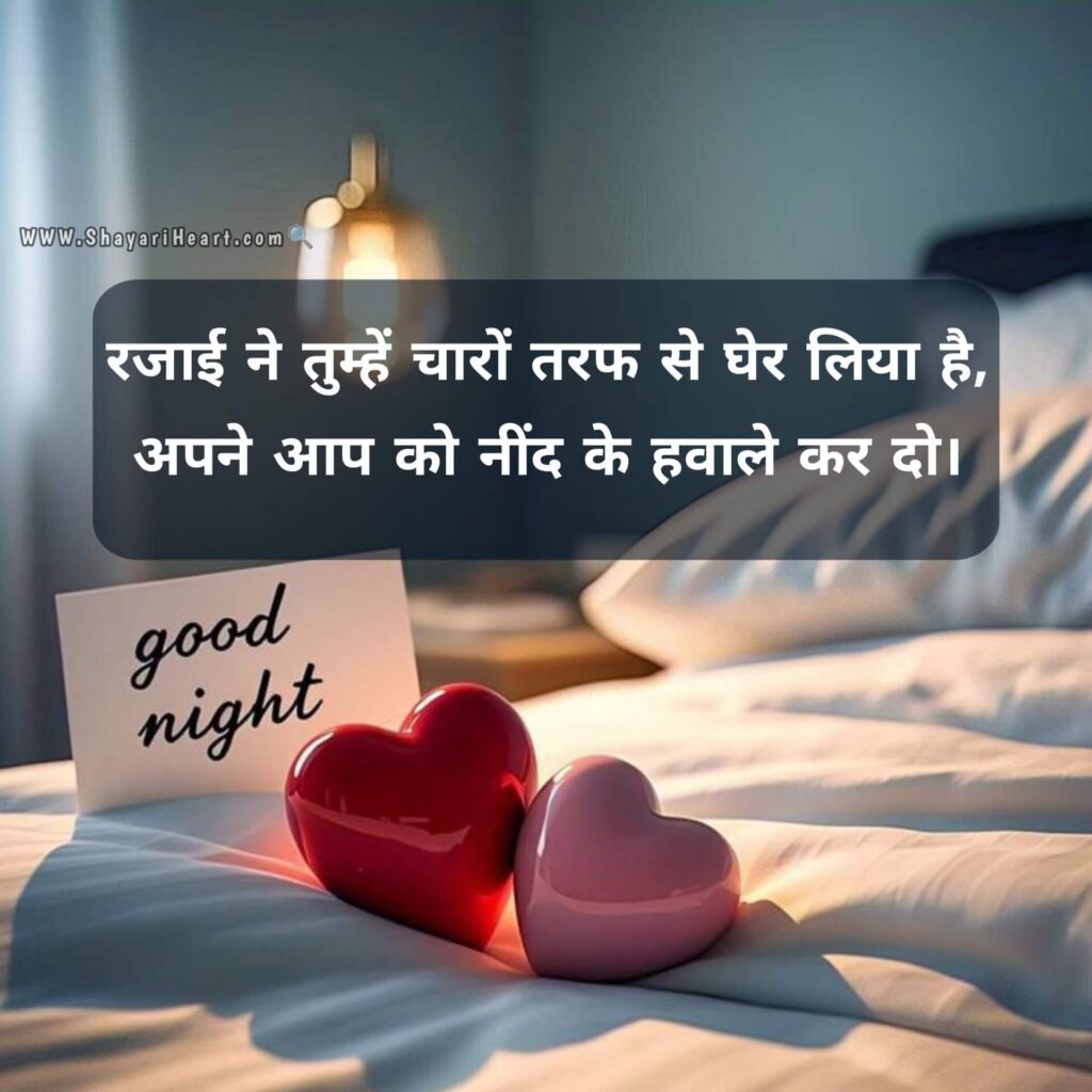 2 Line Good Night Shayari