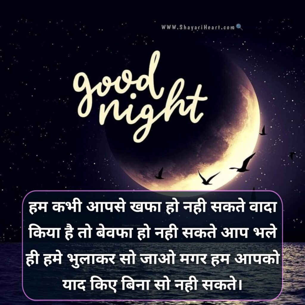 Beautiful Good Night Shayari