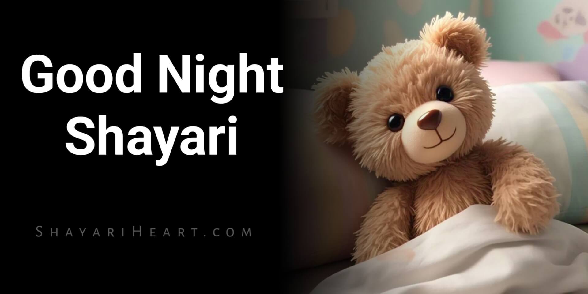 Good Night Shayari