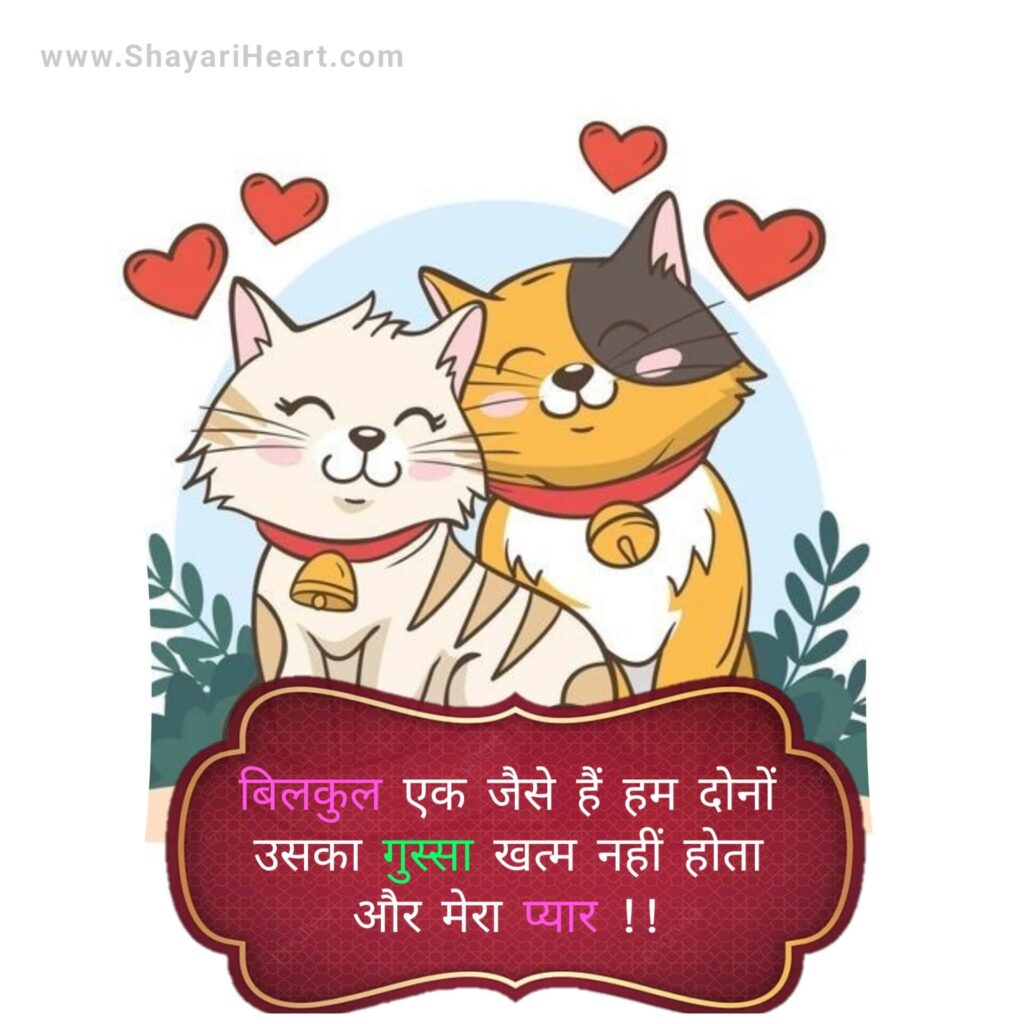 True Love Shayari In Hindi