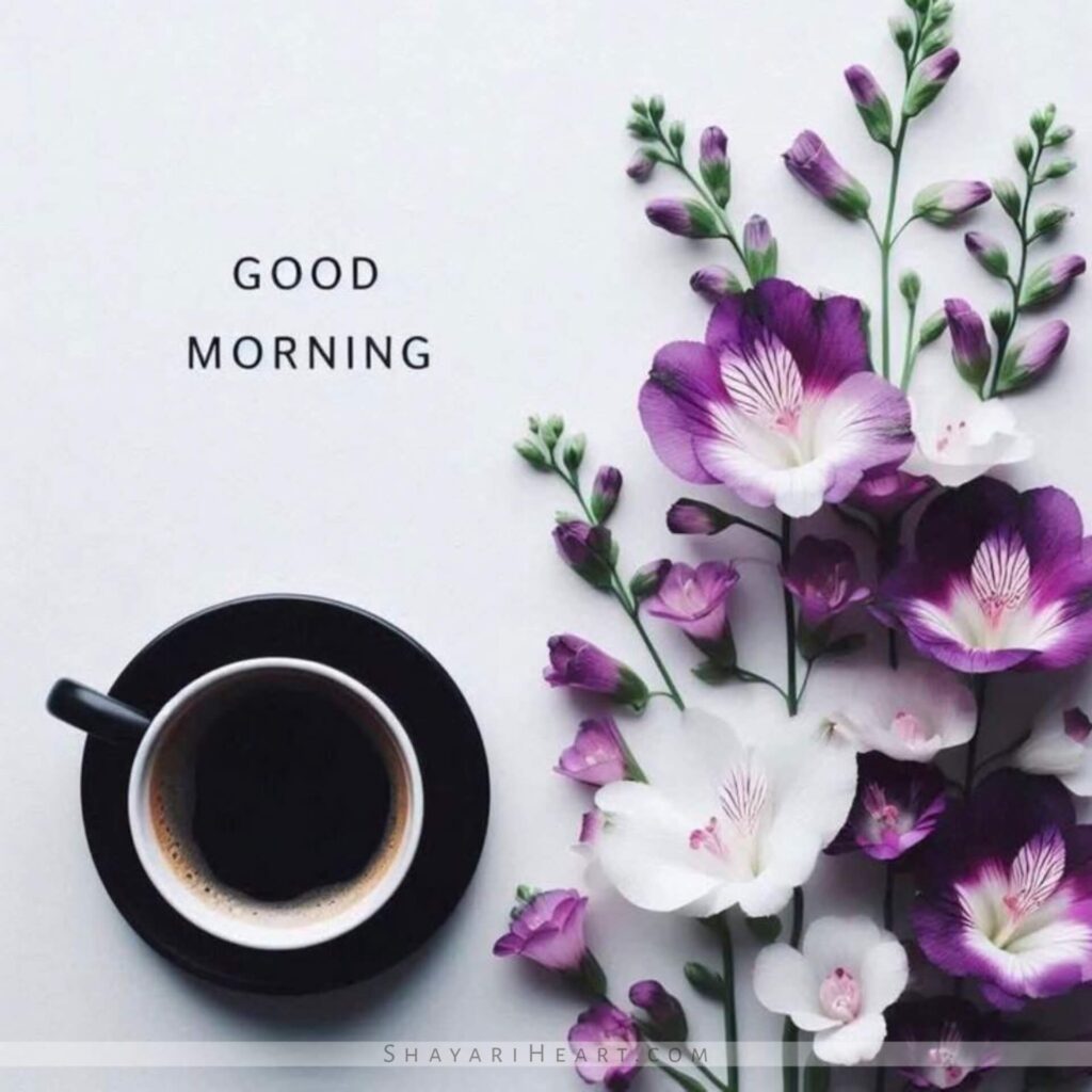Good Morning Images For Whatsapp