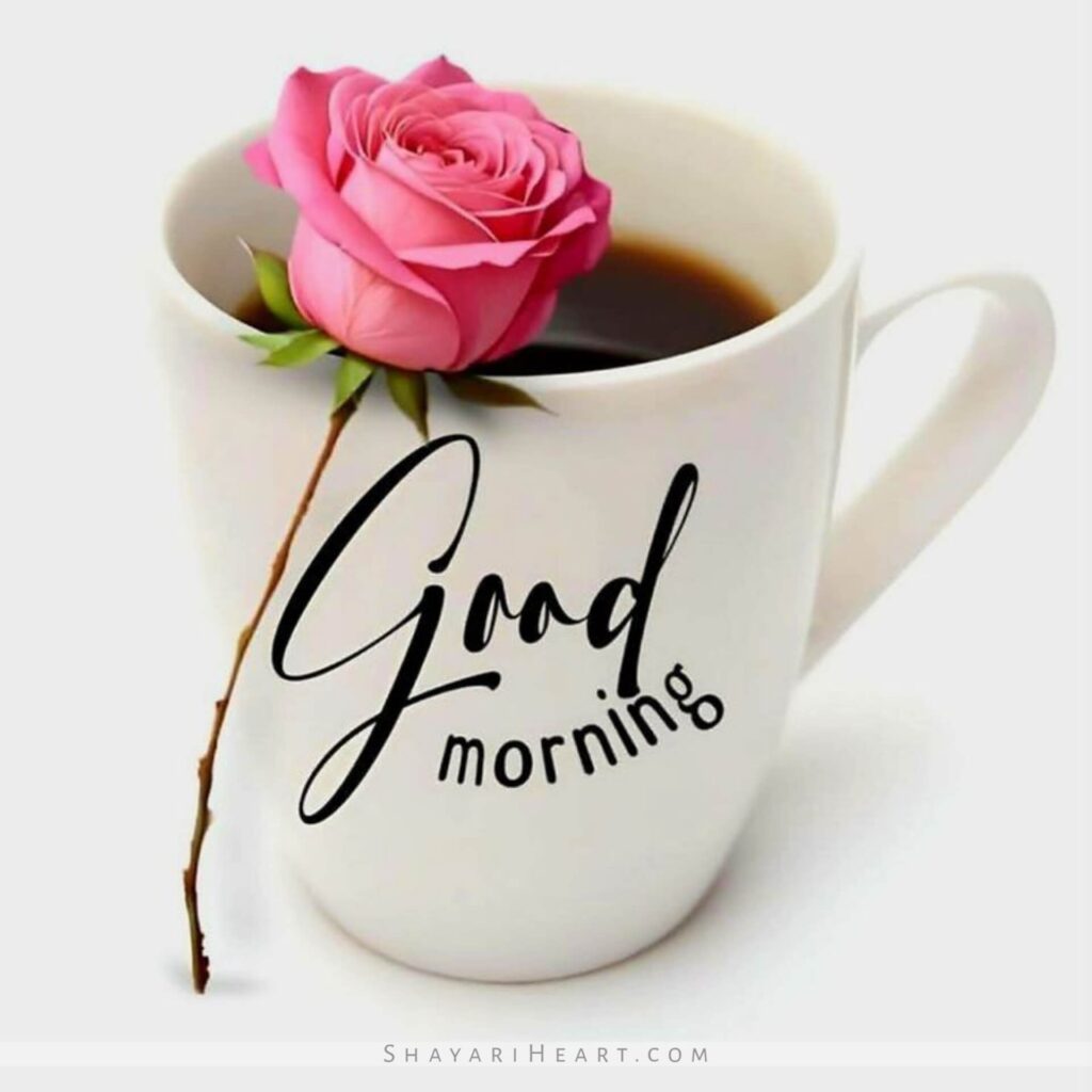 Good Morning Images Love