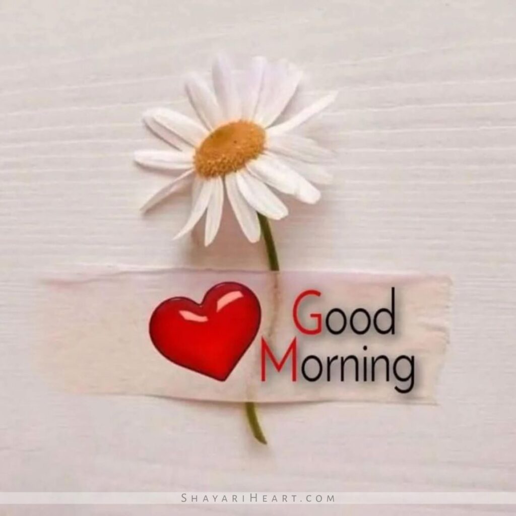 Good Morning Images new style