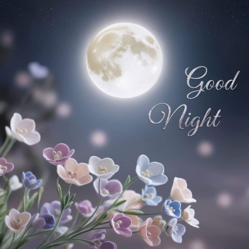 Good Night Images New